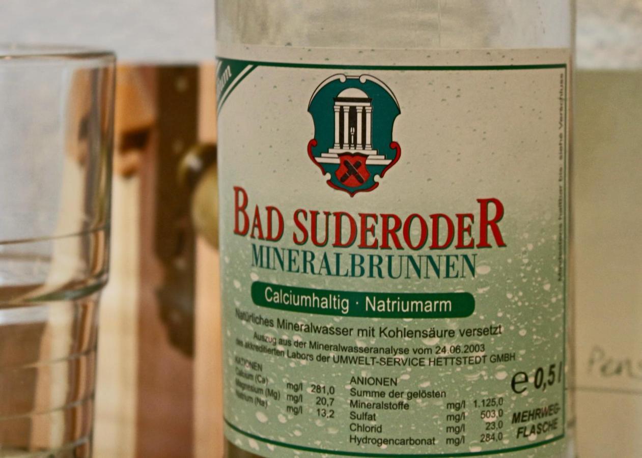Pension Kurhausblick Bad Suderode Exteriör bild