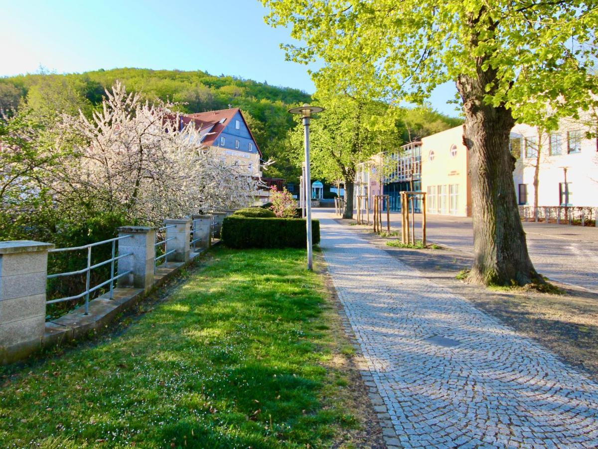 Pension Kurhausblick Bad Suderode Exteriör bild