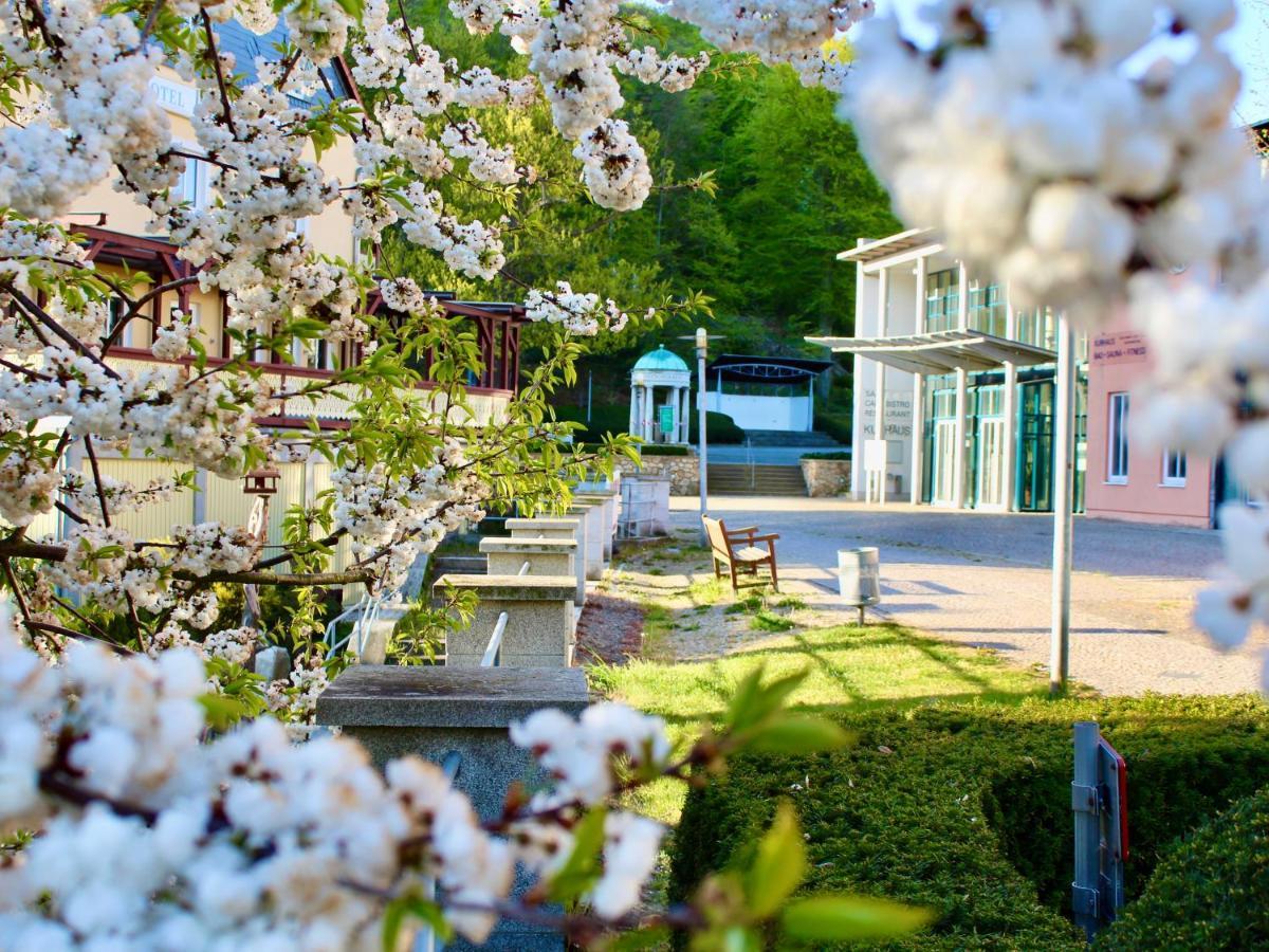 Pension Kurhausblick Bad Suderode Exteriör bild